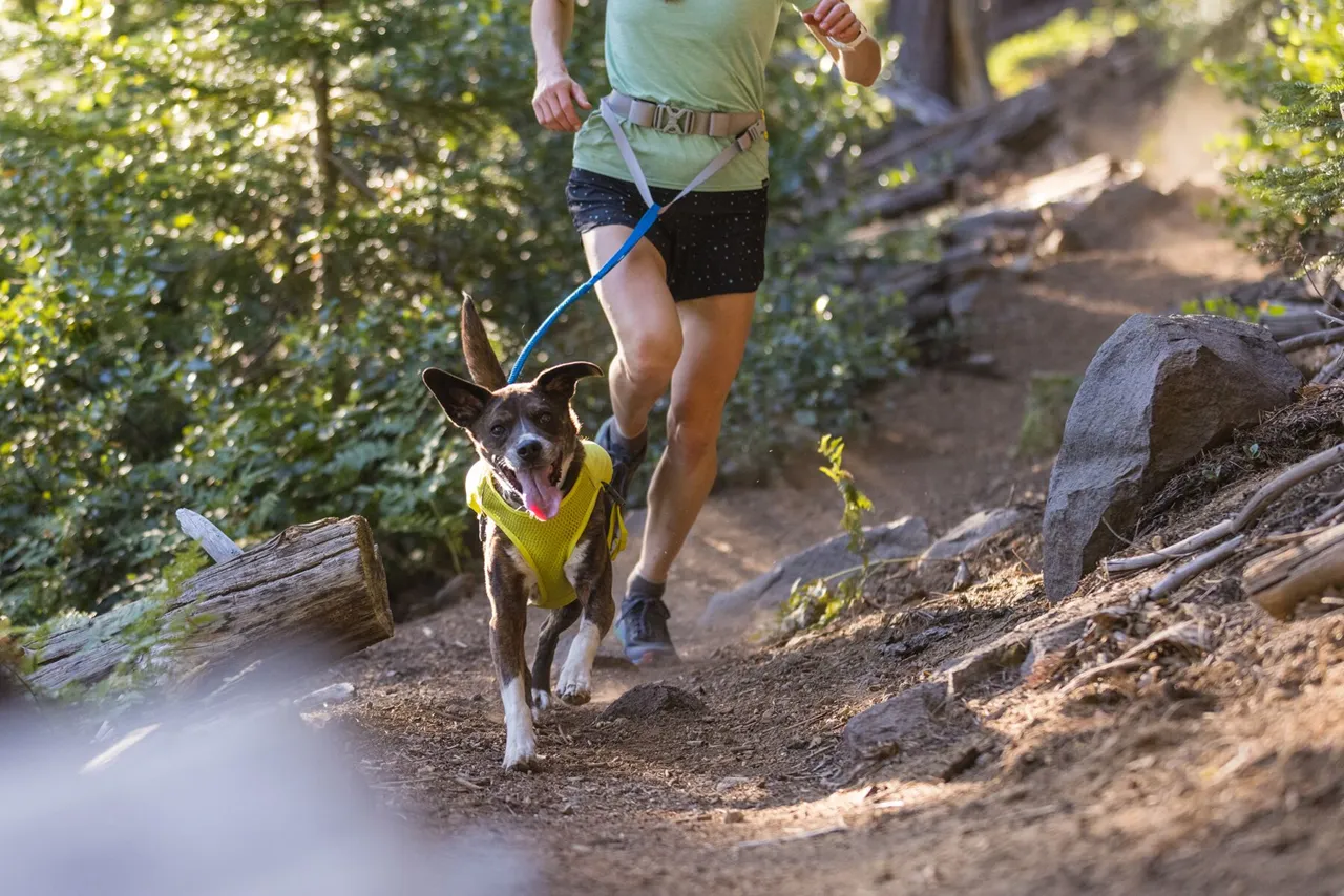 Ruffwear Adjustable Running Belt, Trail Runner
